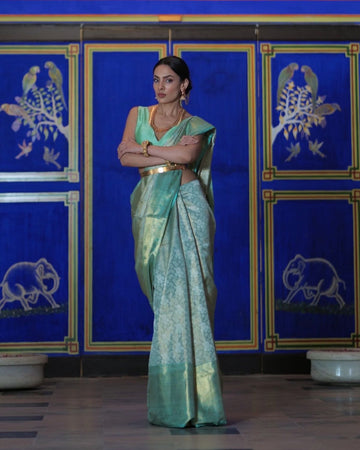 Traditional Kanchipuram Silk Saree Motifs and Patterns