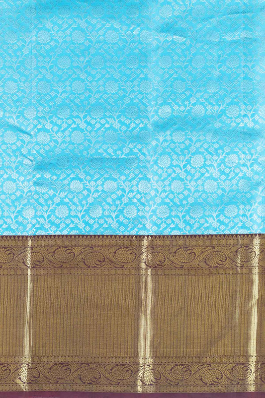 Sky Blue Kanchipuram Silk Saree