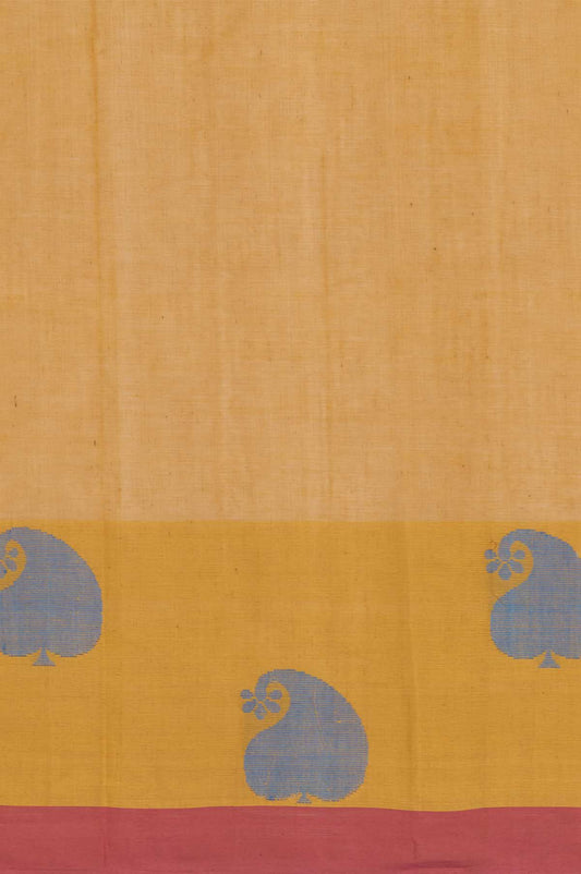 Mustard Kanchi Cotton Saree