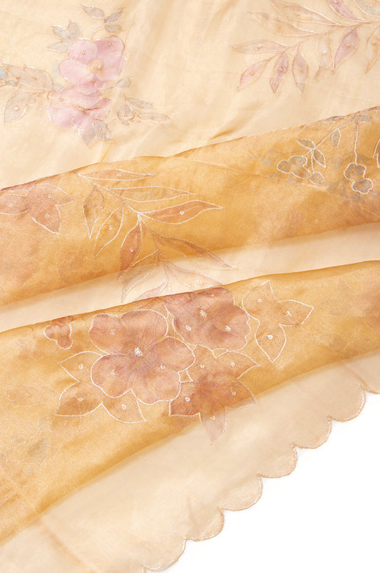 Gold Organza Tissue Saree with Gold Zari Outline