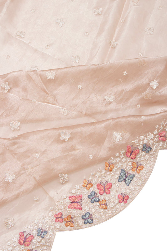 Onion Pink Organza Tissue Saree with Scallop Border