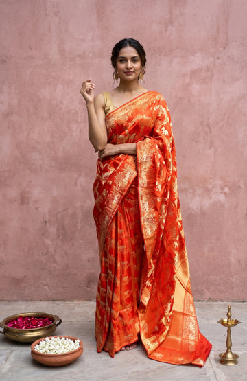 Crimson Red Banaras Katan Silk Saree with Animal Motifs
