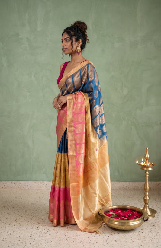 Multi-Colour Organza Tissue Silk Saree with Floral Motifs