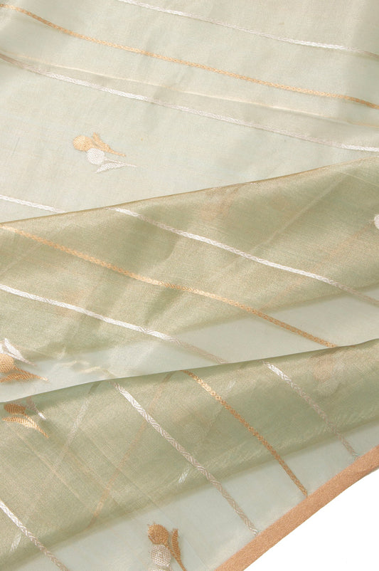 Pista Green Floral Banaras Tissue Silk Saree