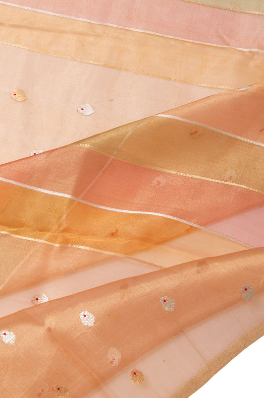 Multi Colour Banaras Tissue Silk Saree
