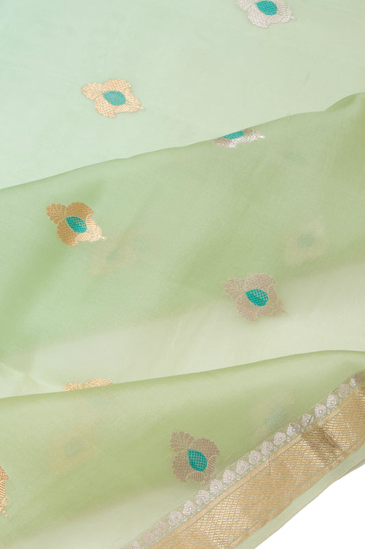 Multi Colour Organza Silk Saree