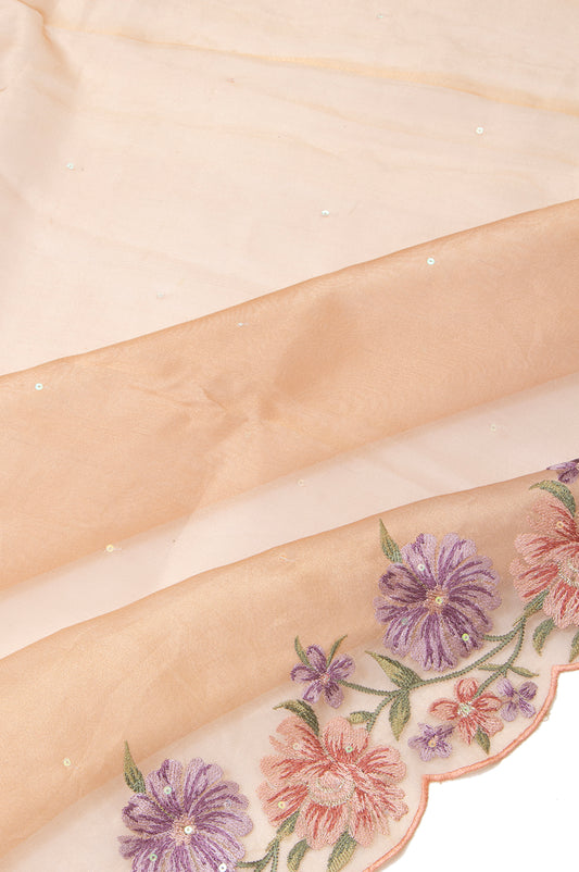 Peach Organza Tissue Saree