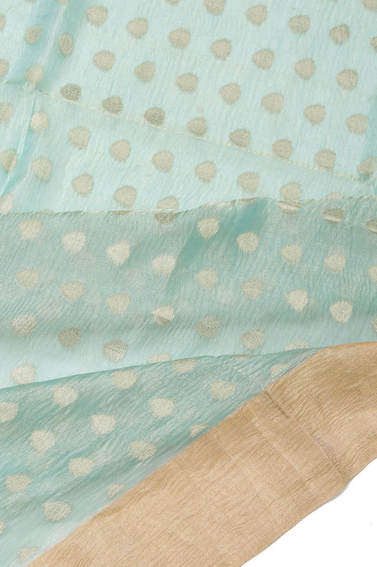 Sea Blue Organza Tissue Saree with Gold Zari Kaddi Border and Crush Flower Butta Design