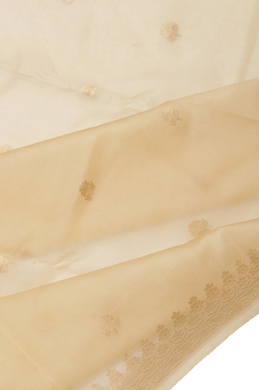 Cream Organza Silk Saree with Gold Zari Leaf Creeper and Resham Work Blouse