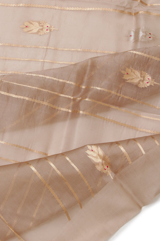 Brown Organza Silk Saree with Gold Zari Diamond Brocade and Floral Creeper Designs