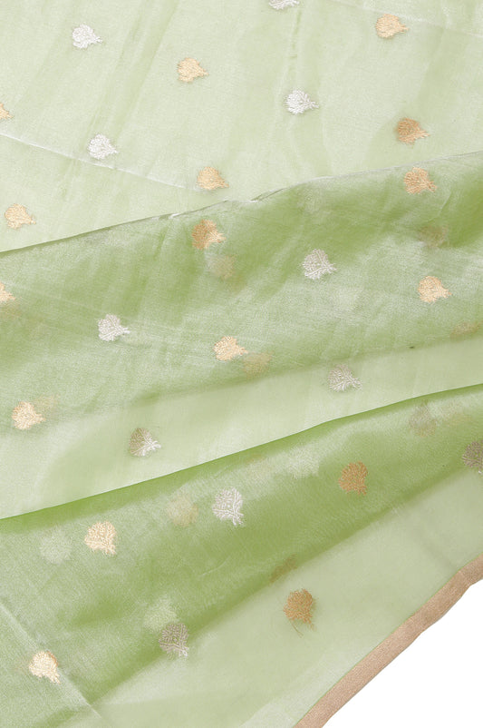 Parrot Green Organza Silk Saree with Gold Zari Floral Creeper and Flower Stripes