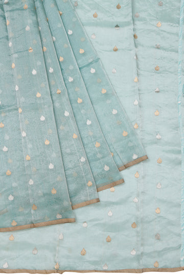 Sea Green Organza Silk Saree with Floral Creeper Border