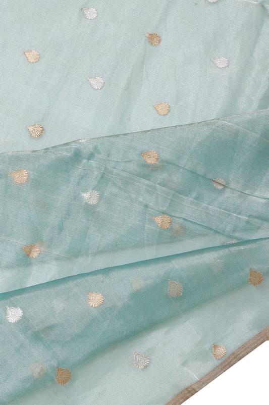 Sea Green Organza Silk Saree with Floral Creeper Border