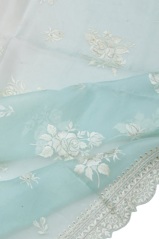 Sky Blue Organza Silk Saree with Silver Zari Embroidery