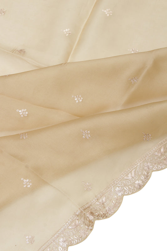 Sandal Organza Silk Saree with Chevron Pattern